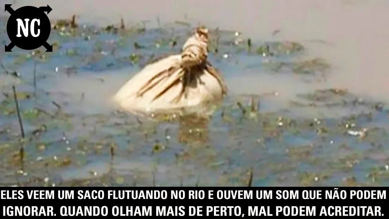 Eles veem um saco flutuando no rio e ouvem um som que não podem ignorar. Quando olham mais...