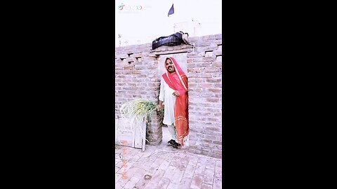 funny clip