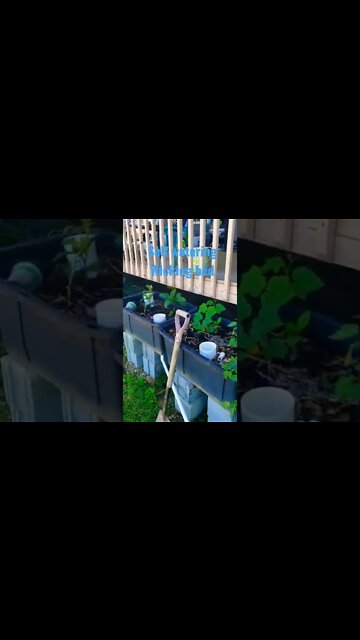 Self watering Wicking beds #diy #gardening #short