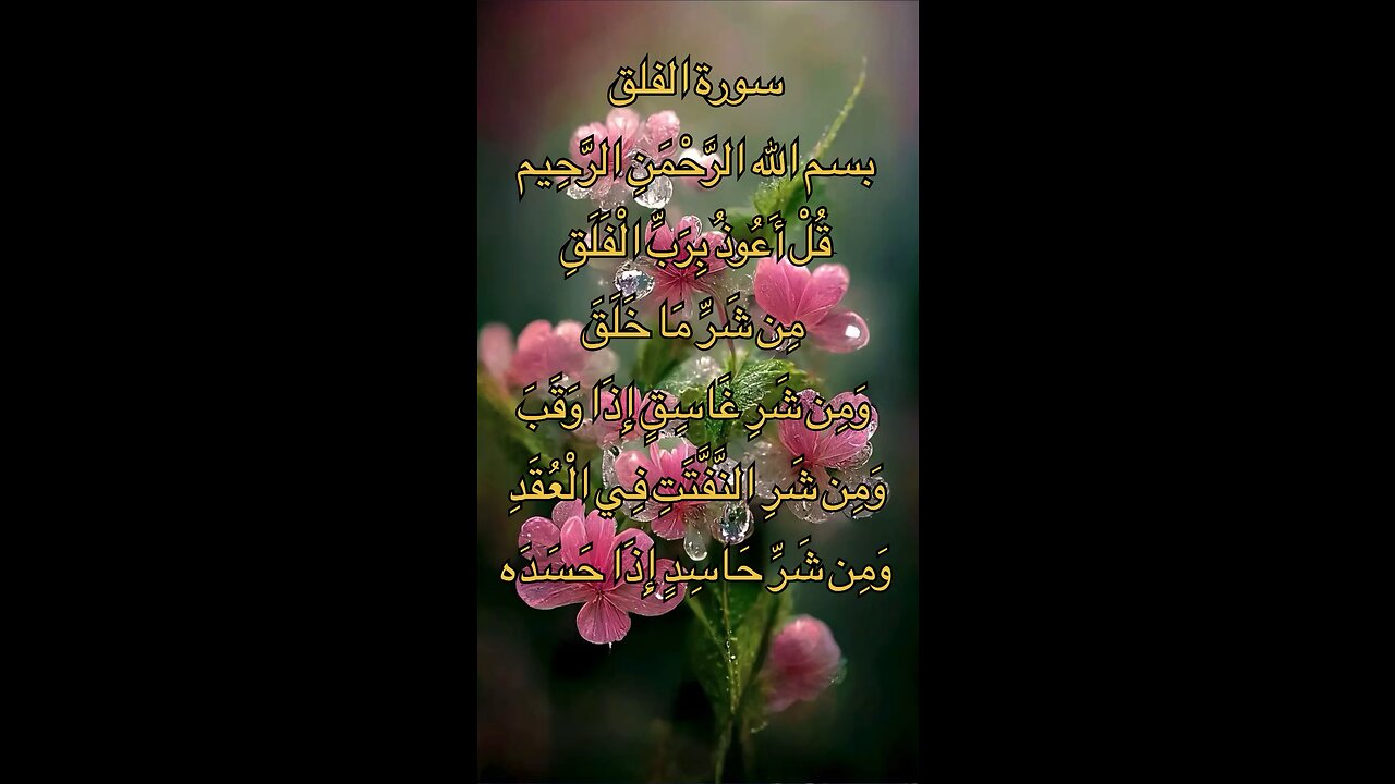 🌹Surah Al Falaq🌹