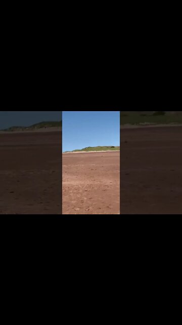 A large beautiful beach in Canada