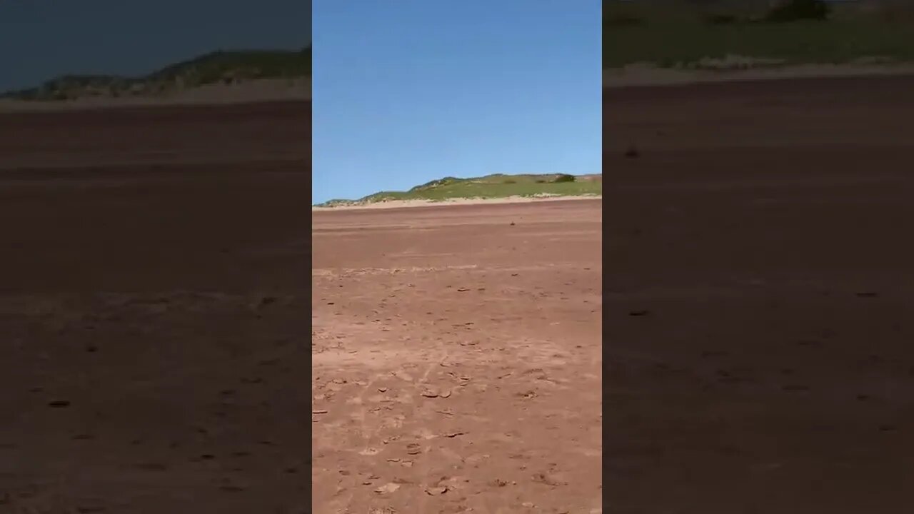 A large beautiful beach in Canada