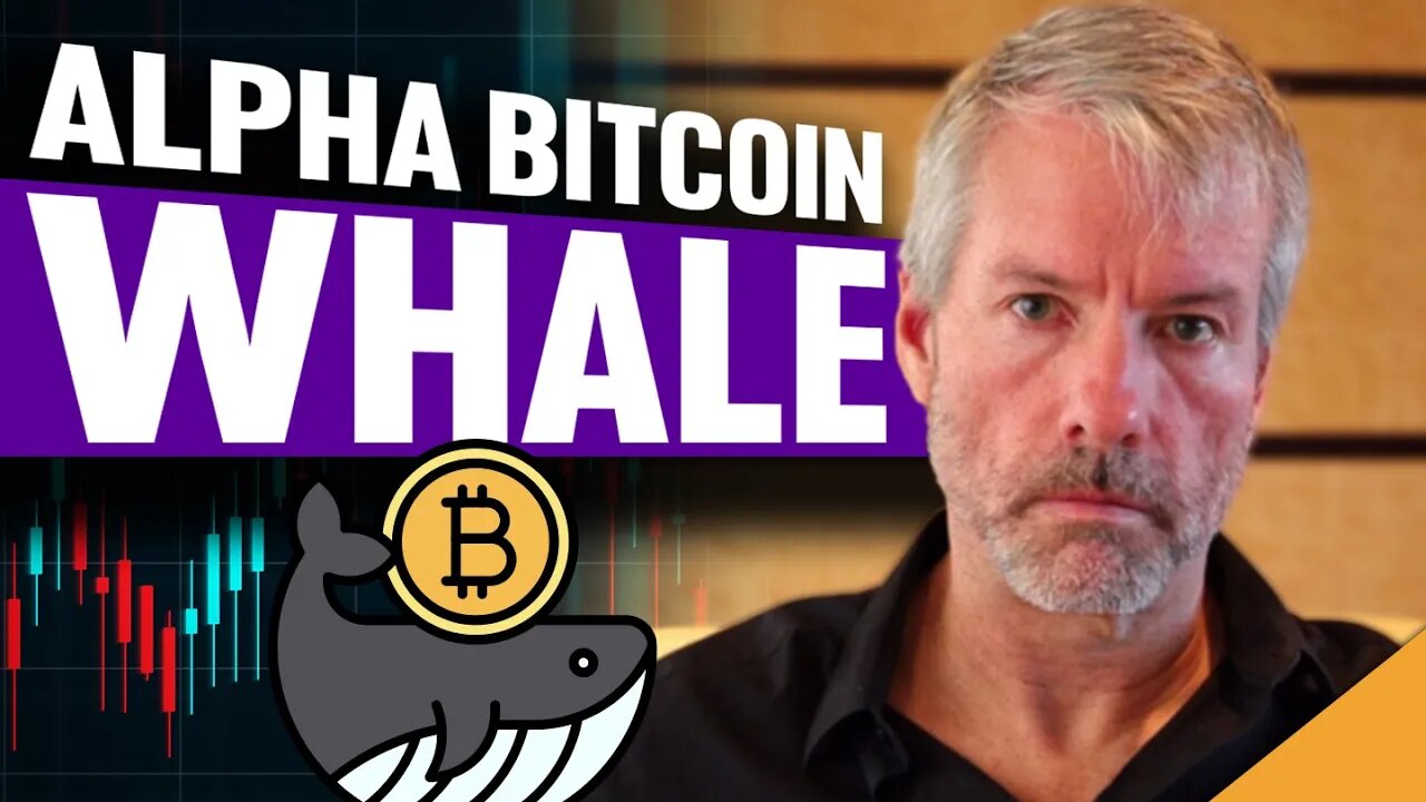 This Man Knows MORE Than You About Crypto (Bitcoin Buying War Has Started)