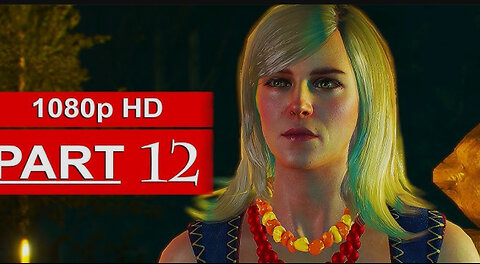 THE WITCHER 3 PART 12