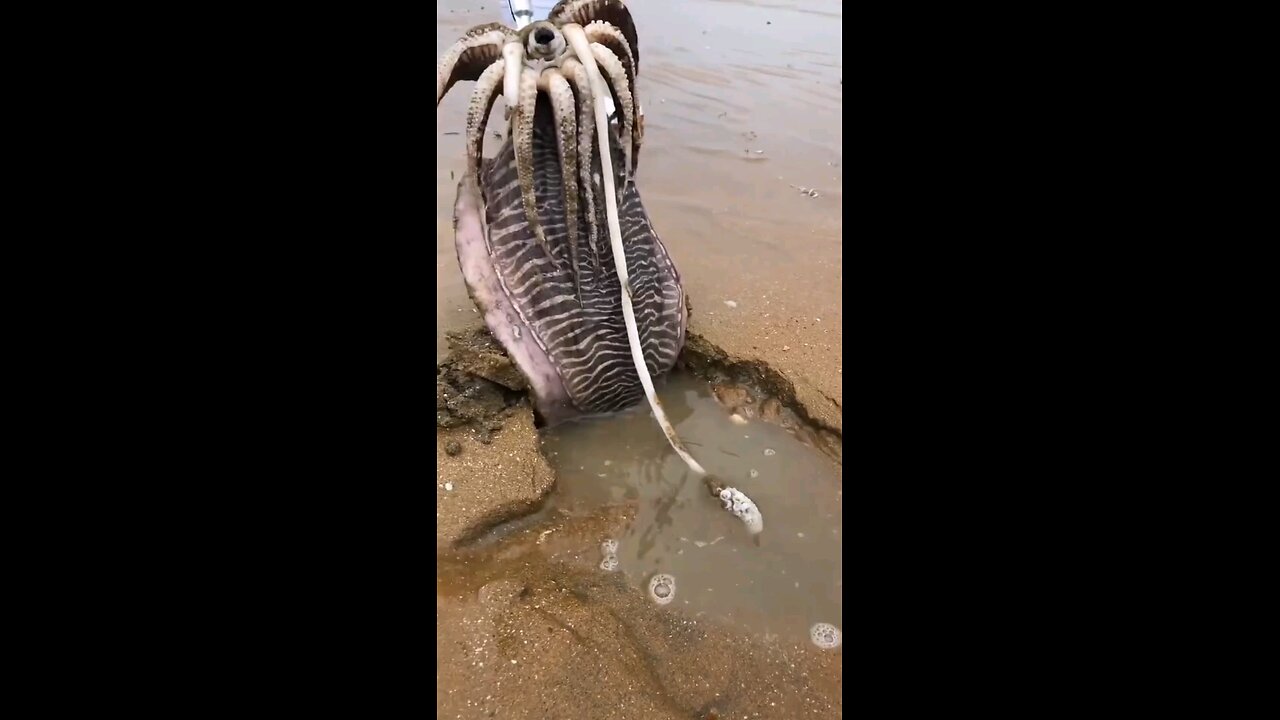 Unexpected: Nature...I think? What in the world did I just witness?
