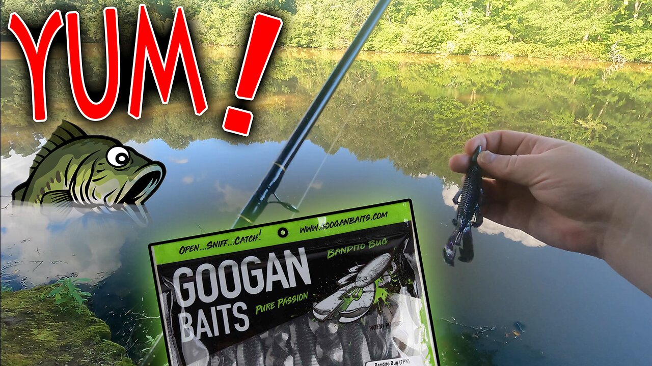 First time using Googan Baits! Did they work?! Meeting locals, gathering intel .. shhh! 🤫