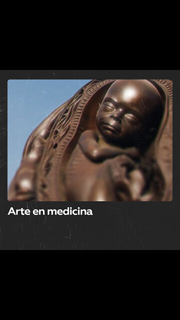 Serie de esculturas que representan el desarrollo de un embrión en el útero