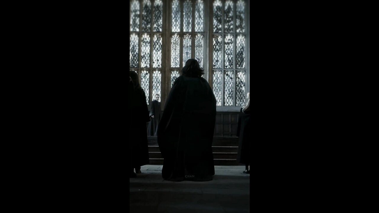 Professor Snape Edit