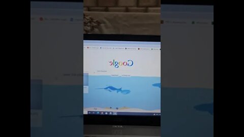 Google tricks no.28 (google underwater) #shorts #youtubeshorts