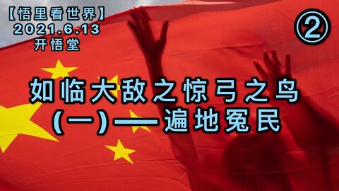 KWT1924(2)遍地冤民——如临大敌之惊弓之鸟(一)20210613-3【悟里看世界】