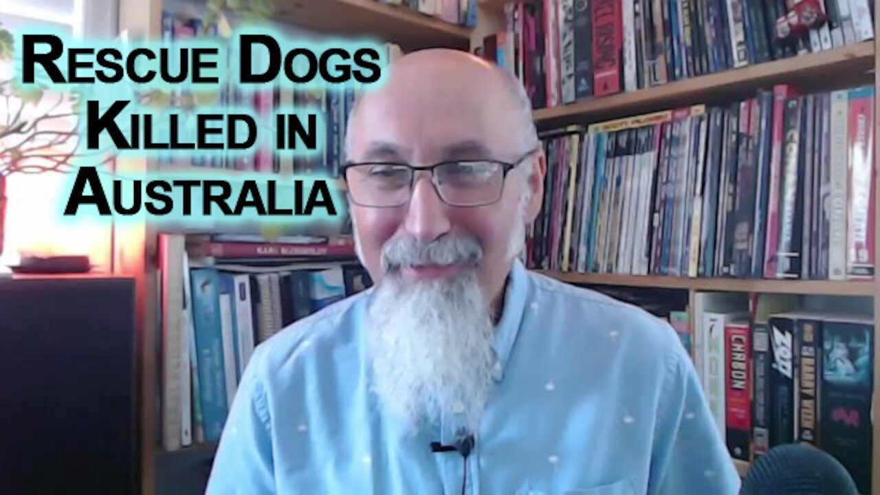 Rescue Dogs in Australia Killed Over Covid Lockdown Restrictions Even Though They Had Homes