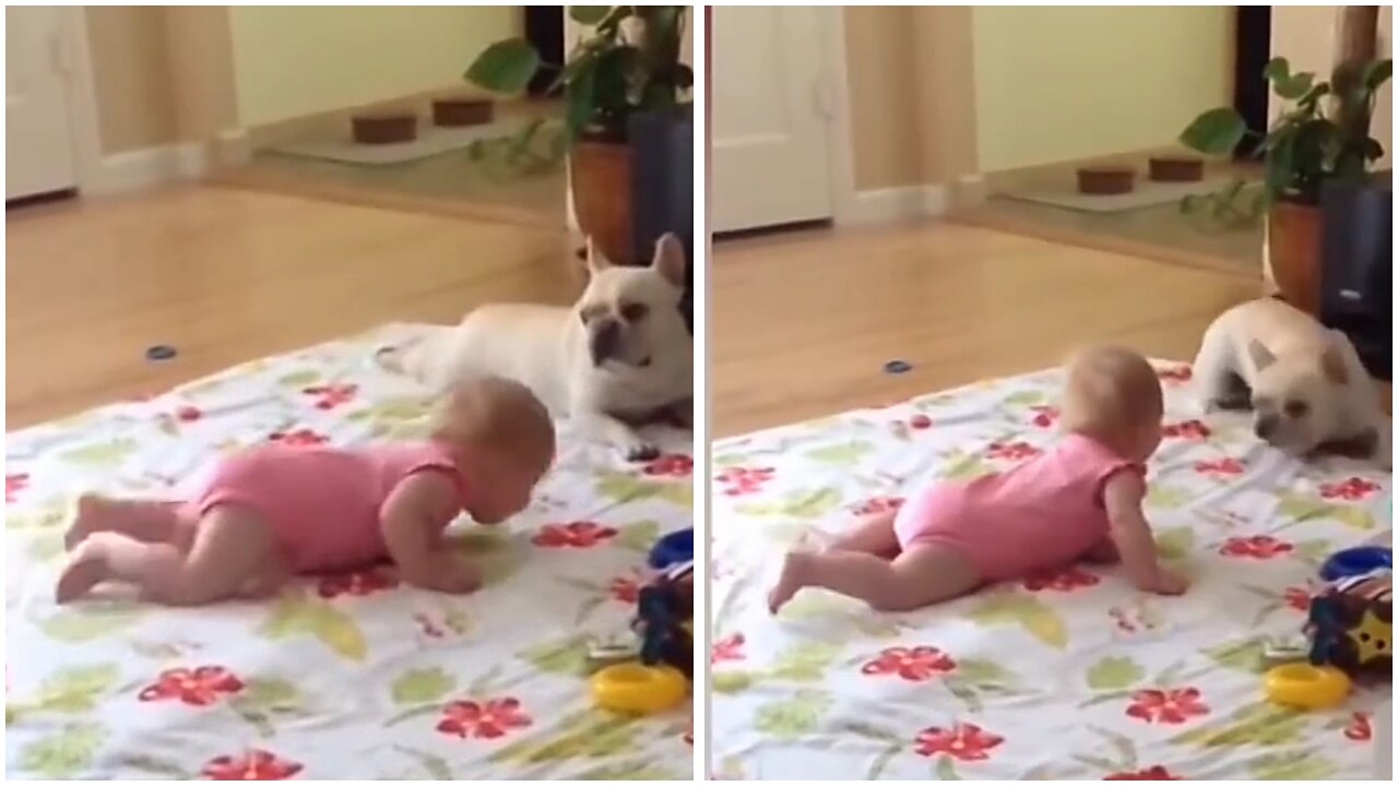 Baby Tries To Crawl Like His Dog