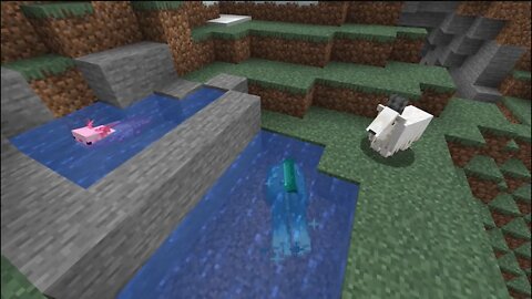 Caves & Cliffs Special Mobs