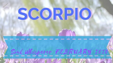 ♏ SCORPIO: You're In the Flow * Feb 2020