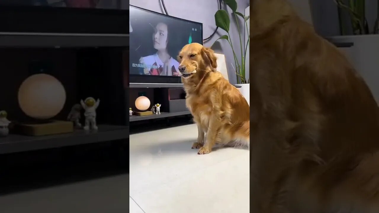 INCREVA POR FAVOR - ENTRETENIMENTO