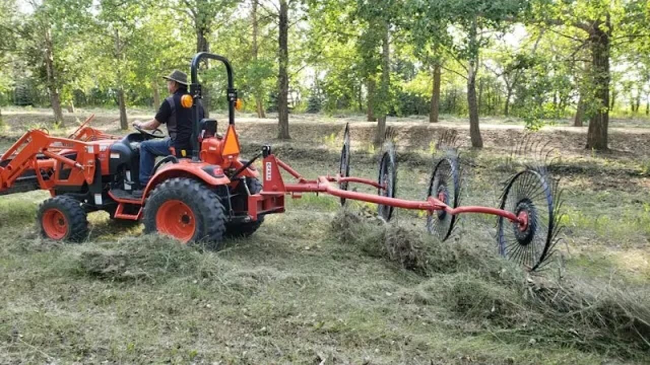 Faza Rake