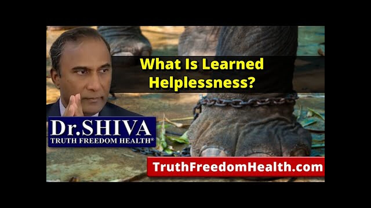 "Dr.SHIVA: What Is Learned Helplessness?