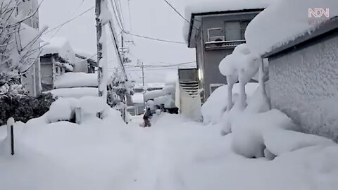 Horror, Japan is stopped! There is no end of snow. Snowfall in Japan.