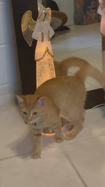 Don’t Worry Be Happy