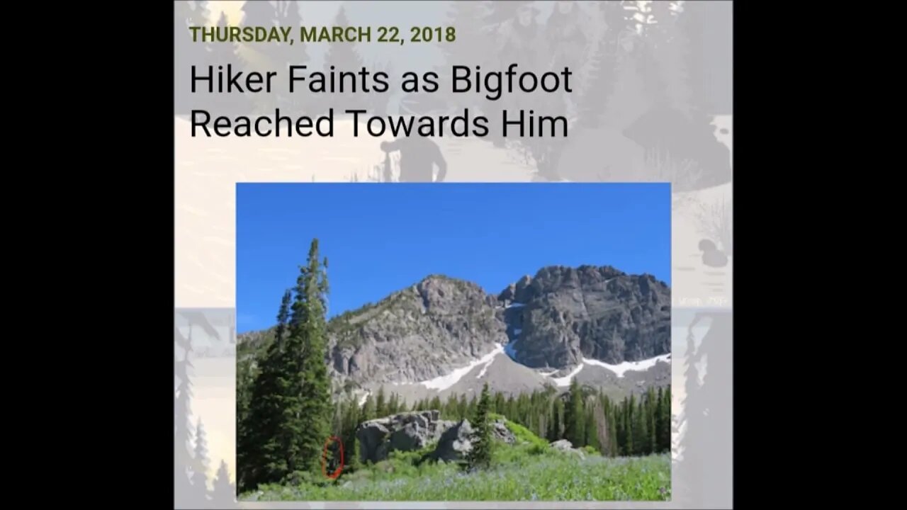 Hiker Faints As Bigfoot Reached Towards Him Paranormal News