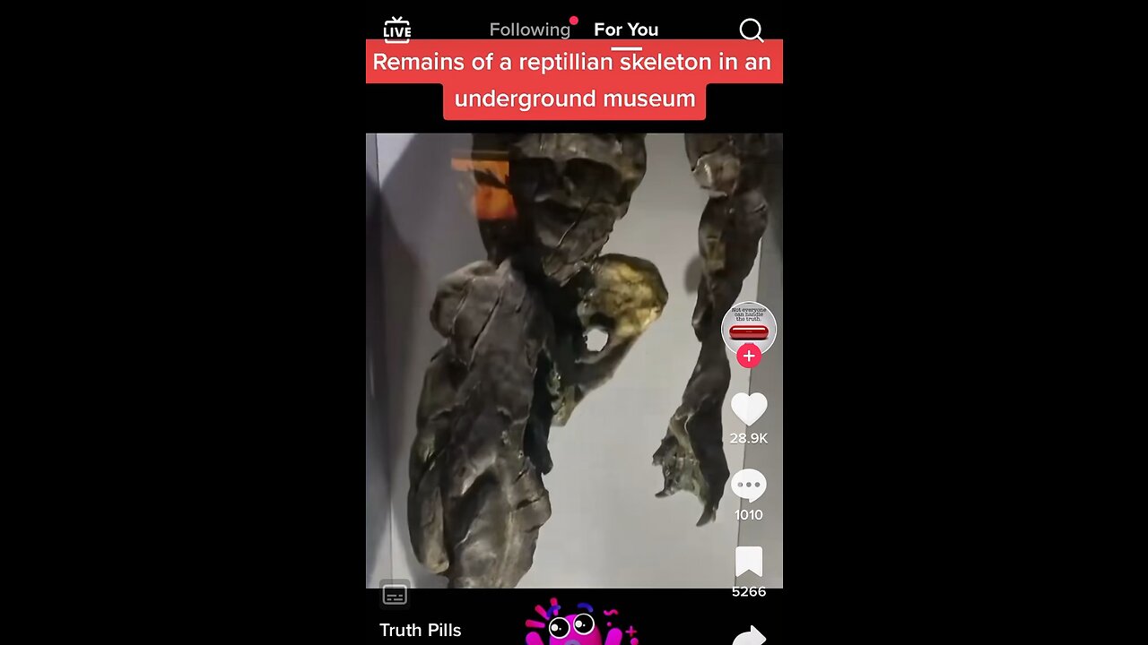 Reptilian Museum