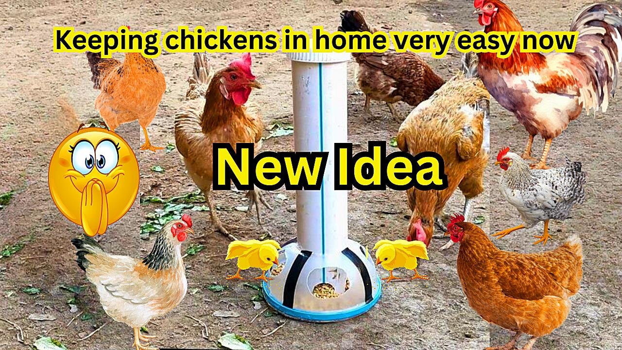 simple invention using recycled materials | A genius innovation or invention for chicken broilers