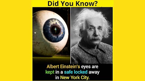 Awesome Facts That You Must Know #01 | DidYouKnow??