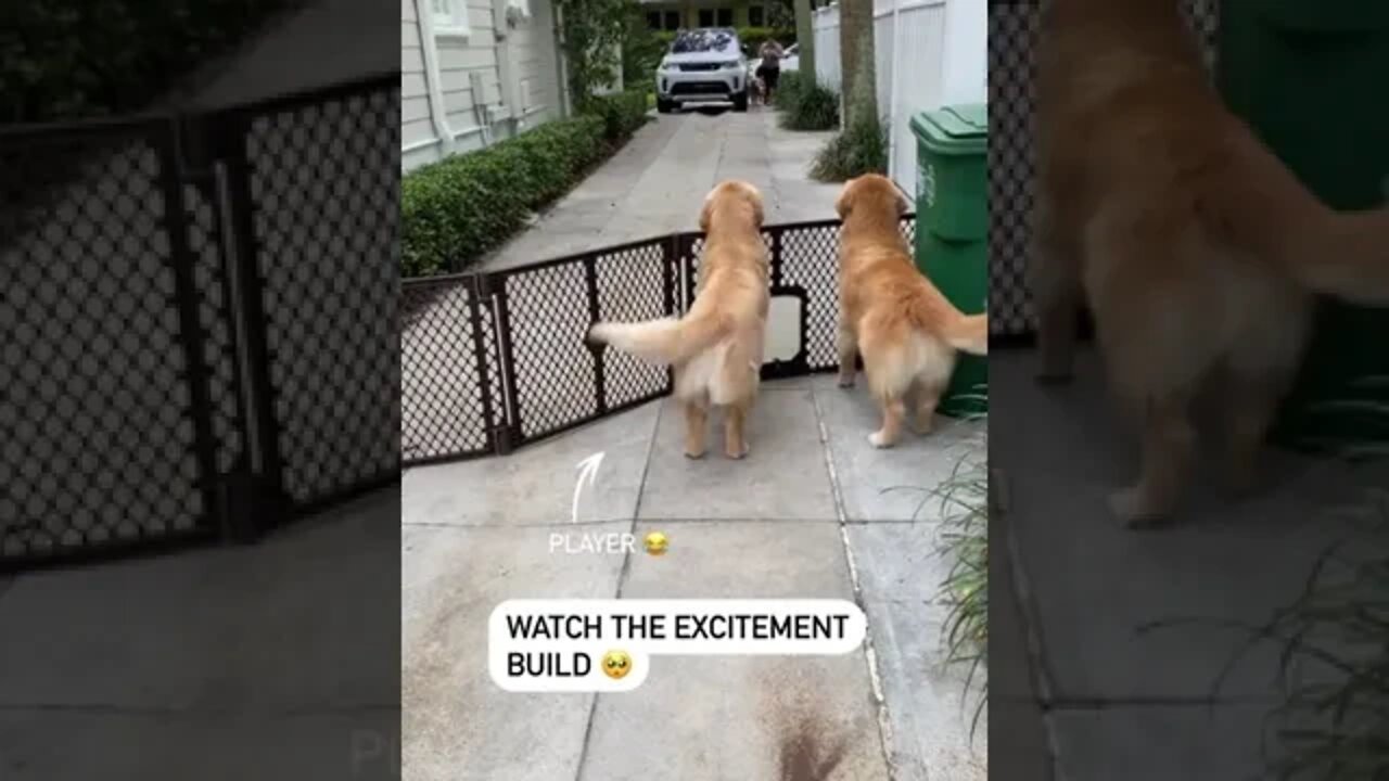 Happy feeling when friends come over