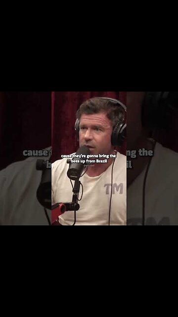 Why Veganism doesn't work