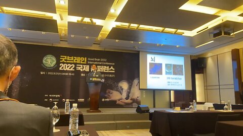 굿브레인 연구와 인공지능 김대수 카이스트 생명과학과 교수