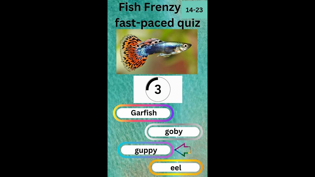 Fish Frenzy 14 to 23 A fast-paced quiz