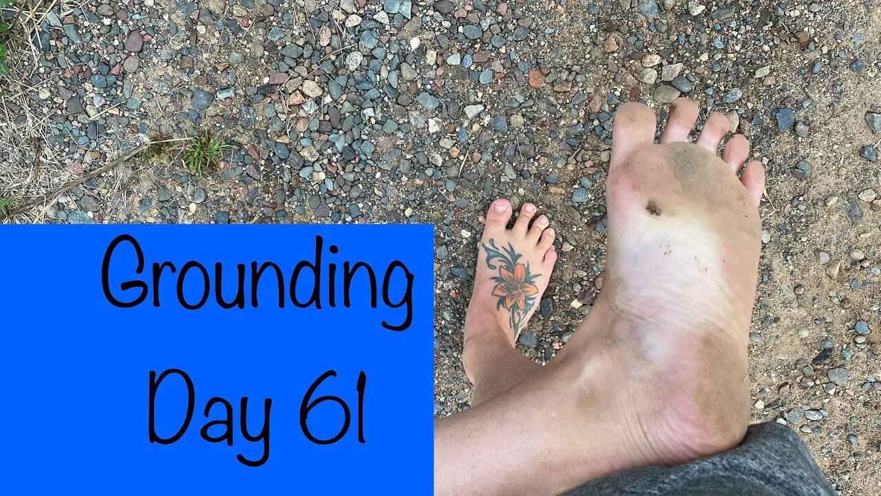 Grounding Day 61 - big birds