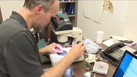 USF professor makes first-of-its-kind discovery