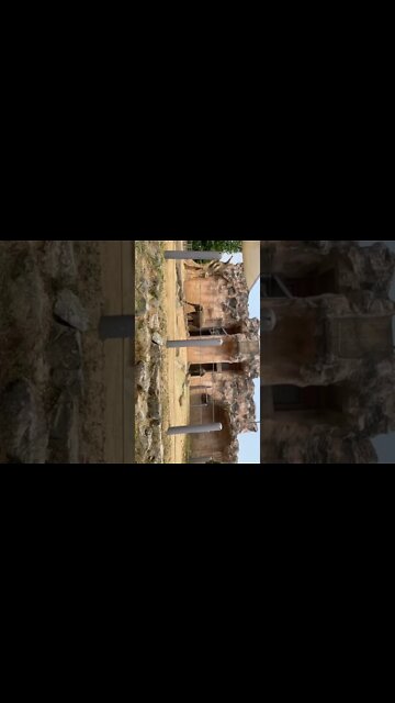 어린이대공원 코끼리