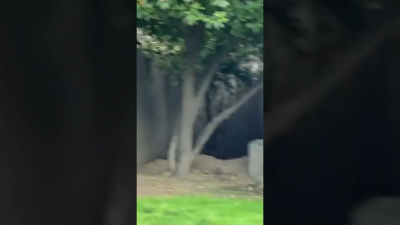 “Hey, what’s your name?”