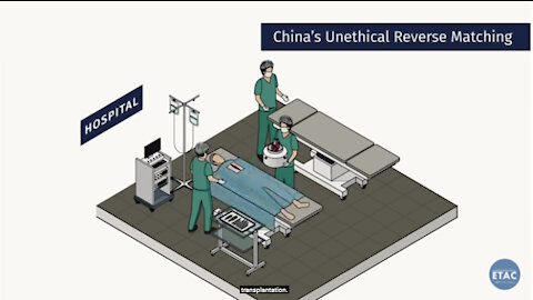 China’s $$$-Billion Murder for Organs Industry - Explainer [UPDATED]