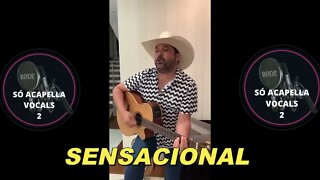 Edson -- A Mais Bonita das Noites ACapella