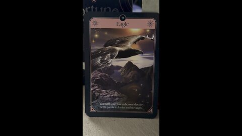 Take in the bigger picture #eagle #tarot #tarotary #sharinastar #fortunetarot #dailycard #oracle