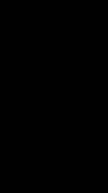 Springtime jazz festival