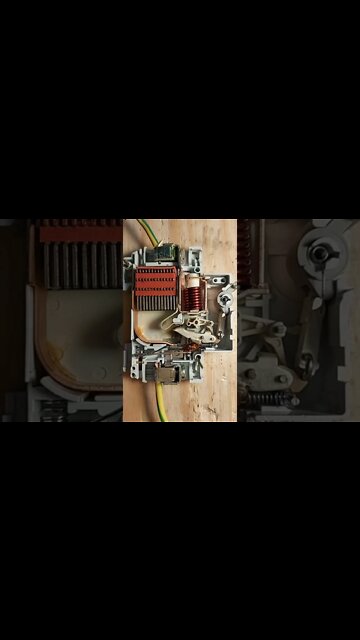 #shorts #2022 funny,prank,funjokes,dad jokes,funny memes,funny video,fun,laughing,funny animal,knock