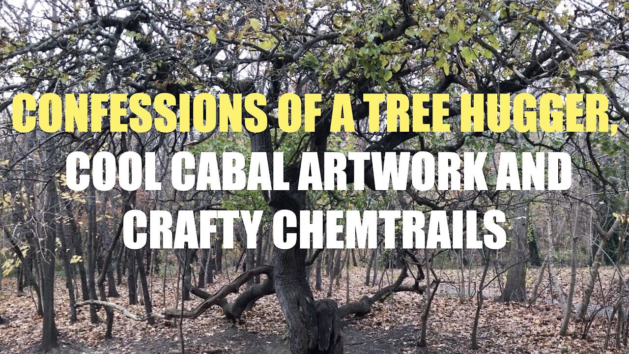 CONFESSIONS OF A TREE HUGGER. COOL ILLUMINATI ART AND AIR WORK.