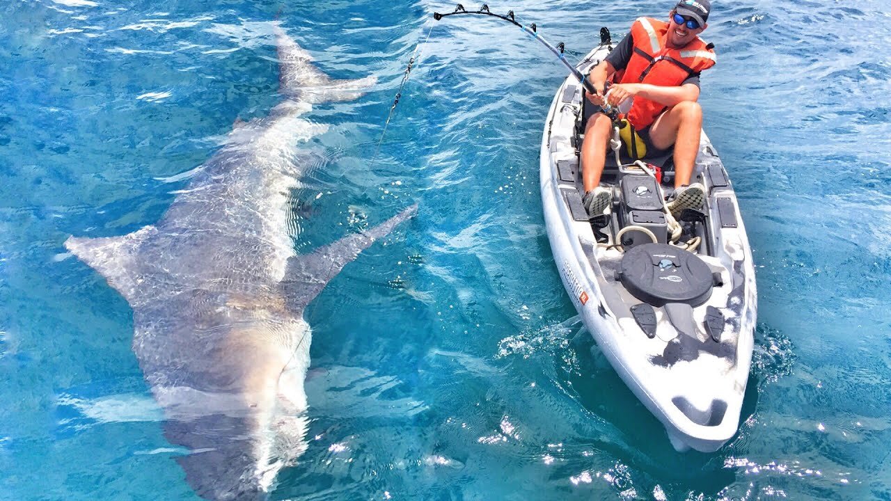 Shark fishing on a Kayak - Crazy catch