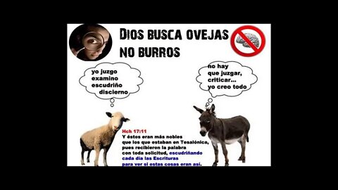 Lección 21, el Diezmo.