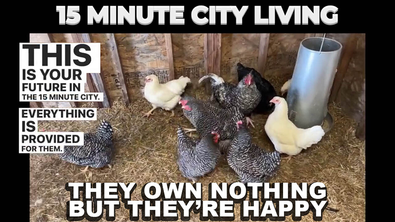 What A 15-Minute City Looks Like 🐔🏙️🥚