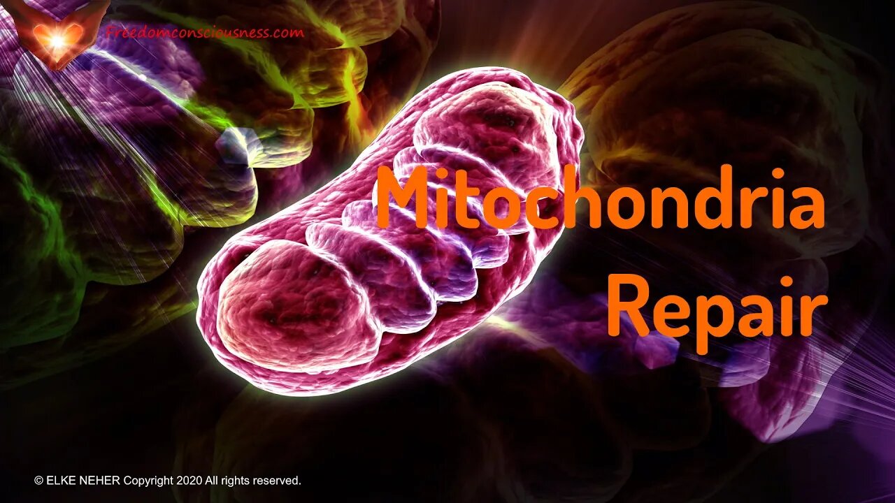 Mitrochondria Repair Frequency Healing - Energy/Frequency Meditation Music