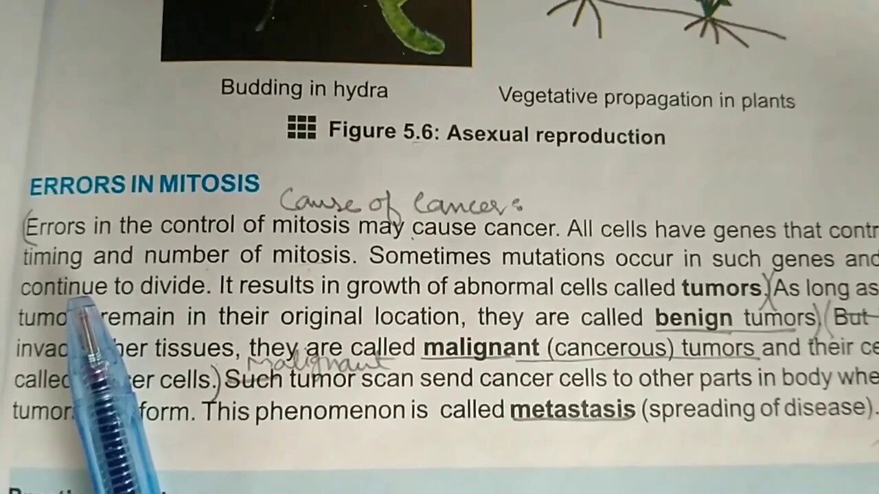 Biology 9th Lecture 8