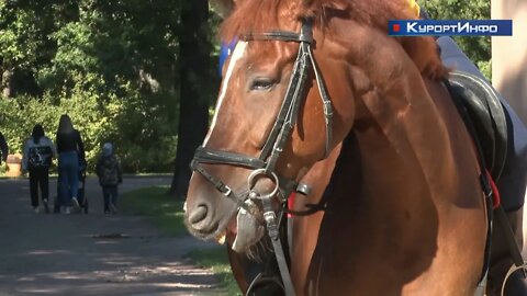 Конно-спортивный клуб в «Дубках» поздравил горожан с праздником