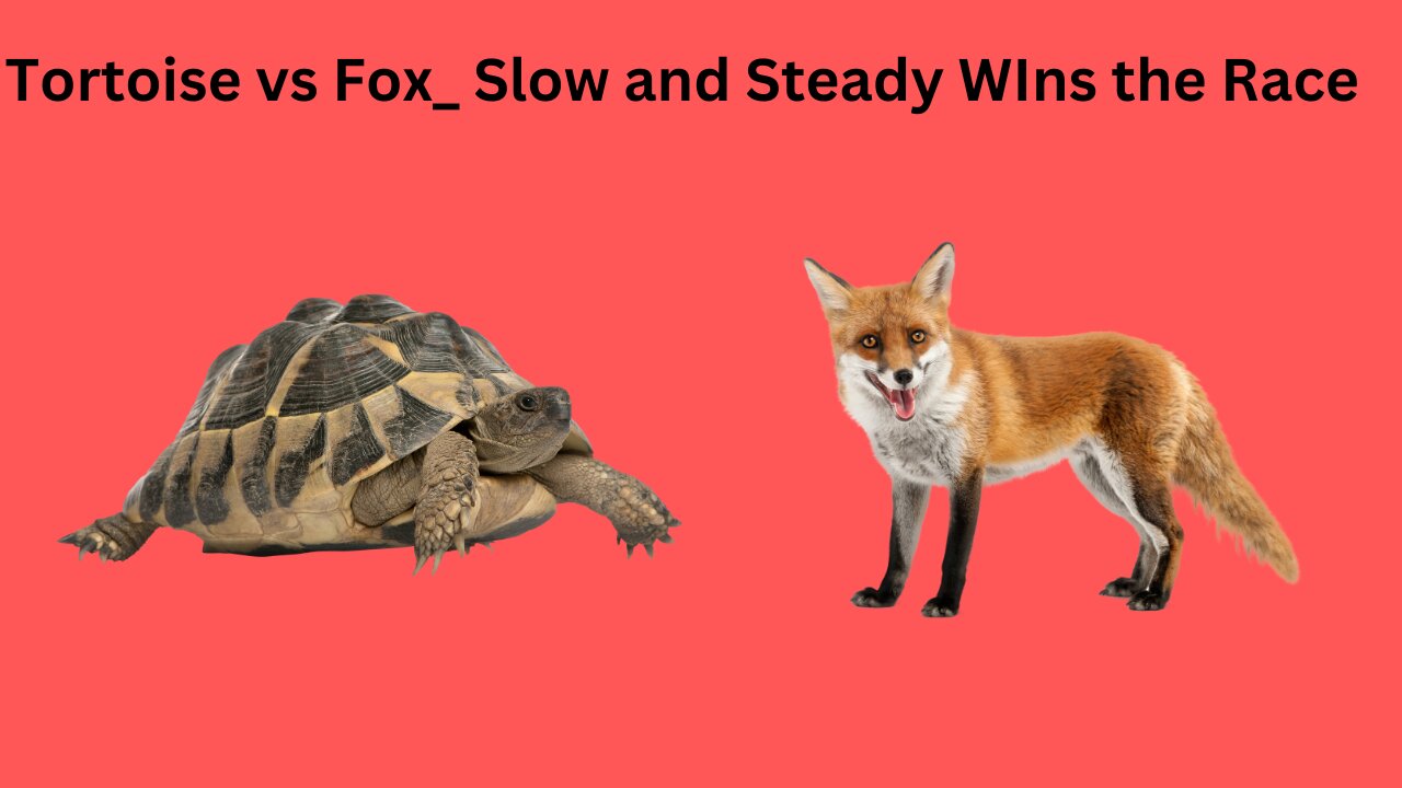 Tortoise vs Fox_ Slow and Steady WIns the Race