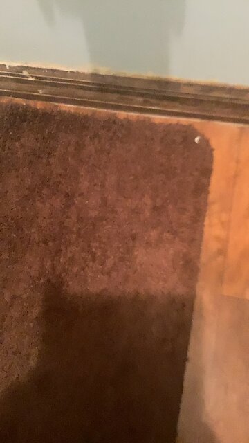 I do a little trolling