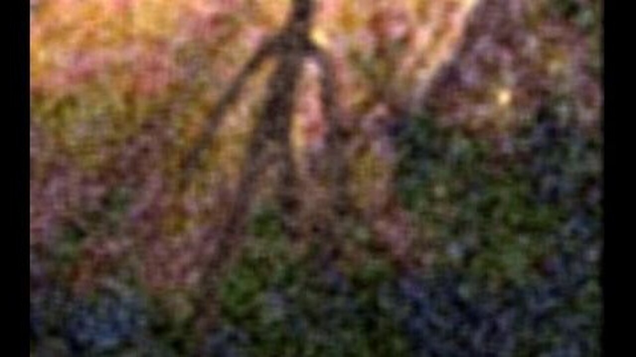 Black-Stickman Stalks Kids in Bridgewater Triangle